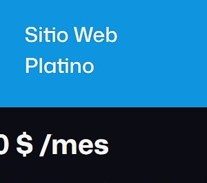 Sitio Web Platino