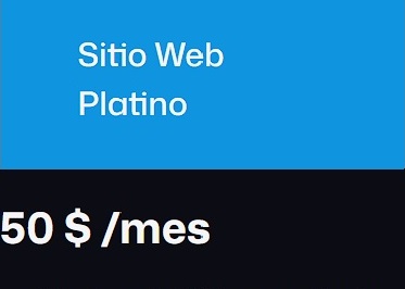 Sitio Web Platino